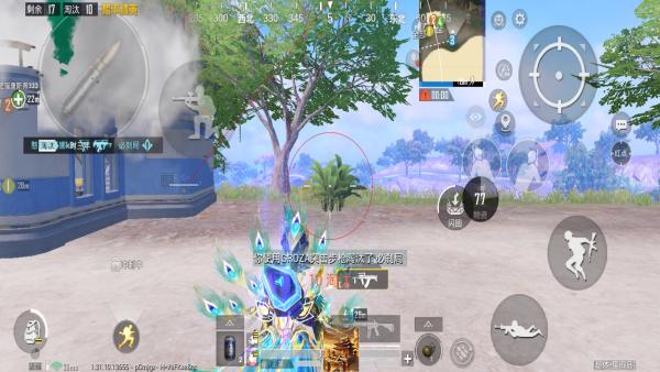 和平精英辅助软件的发展与影响分析